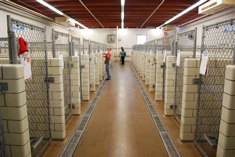 Golden valley humane society - More Every year, Animal Humane Society provides direct care and services to help nearly 100,000 animals in need across Minnesota. As one of the nation's leading animal welfare organizations, AHS is transforming the way shelters care for …